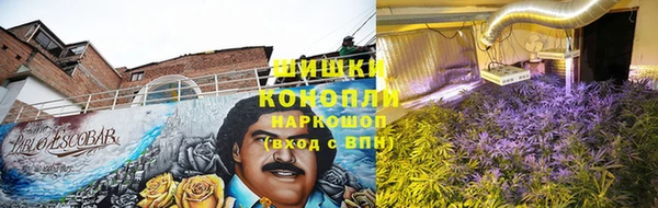 ГАЛЛЮЦИНОГЕННЫЕ ГРИБЫ Алексеевка