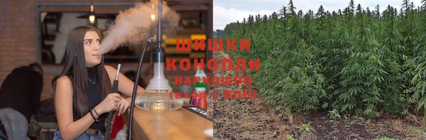 каннабис Корсаков