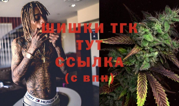 твердый Коряжма