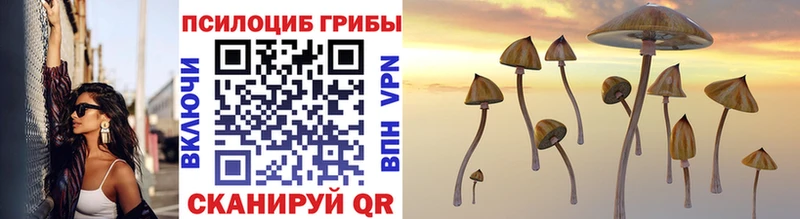 shop Telegram  Камбарка  Галлюциногенные грибы прущие грибы  купить  